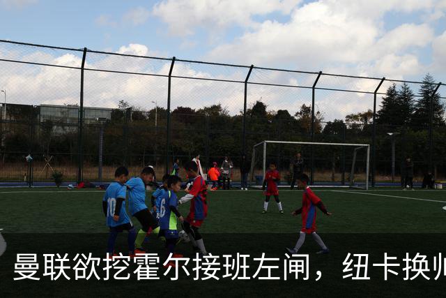 曼联欲挖霍尔接班左闸，纽卡换帅却成阻碍！恐需7000万今夏难成交